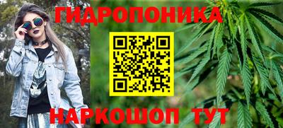 дживик Кимры