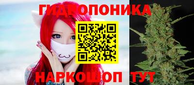 соль ск Кингисепп