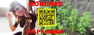 соль ск Кингисепп
