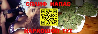 дживик Кимры