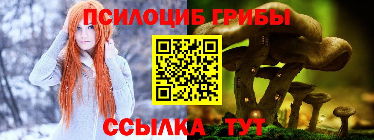 Псилоцибиновые грибы мухоморы Чусовой