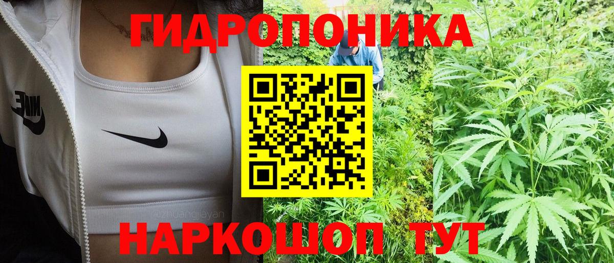 Конопля Ganja  Вход с VPN  Чусовой  Конопля индика 